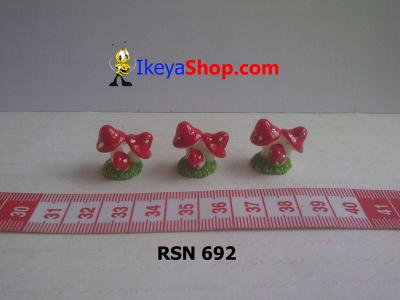 rsn 692  large2